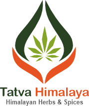 Tatva Himalaya
